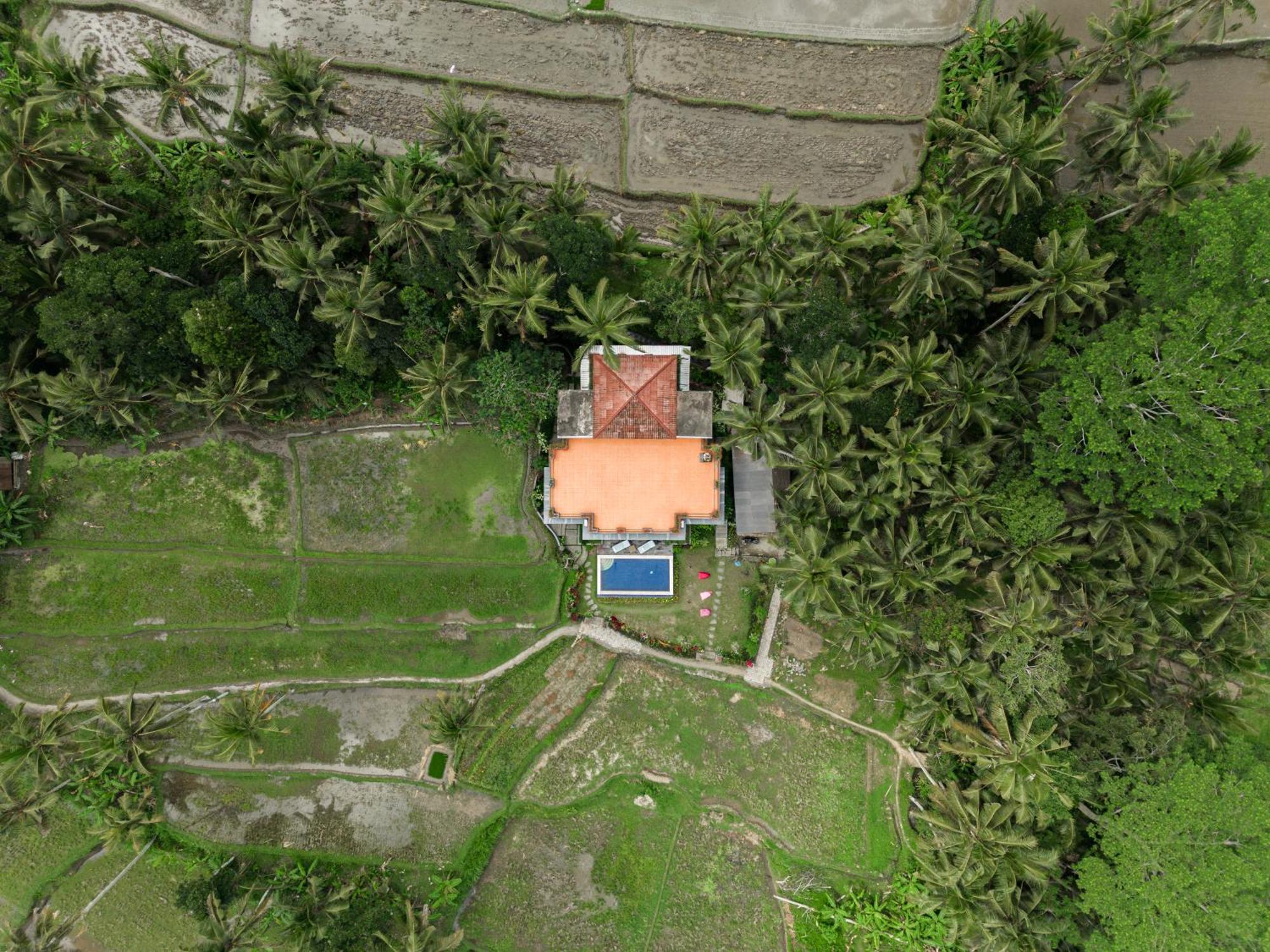 Adhidrawa Ubud Ngoại thất bức ảnh
