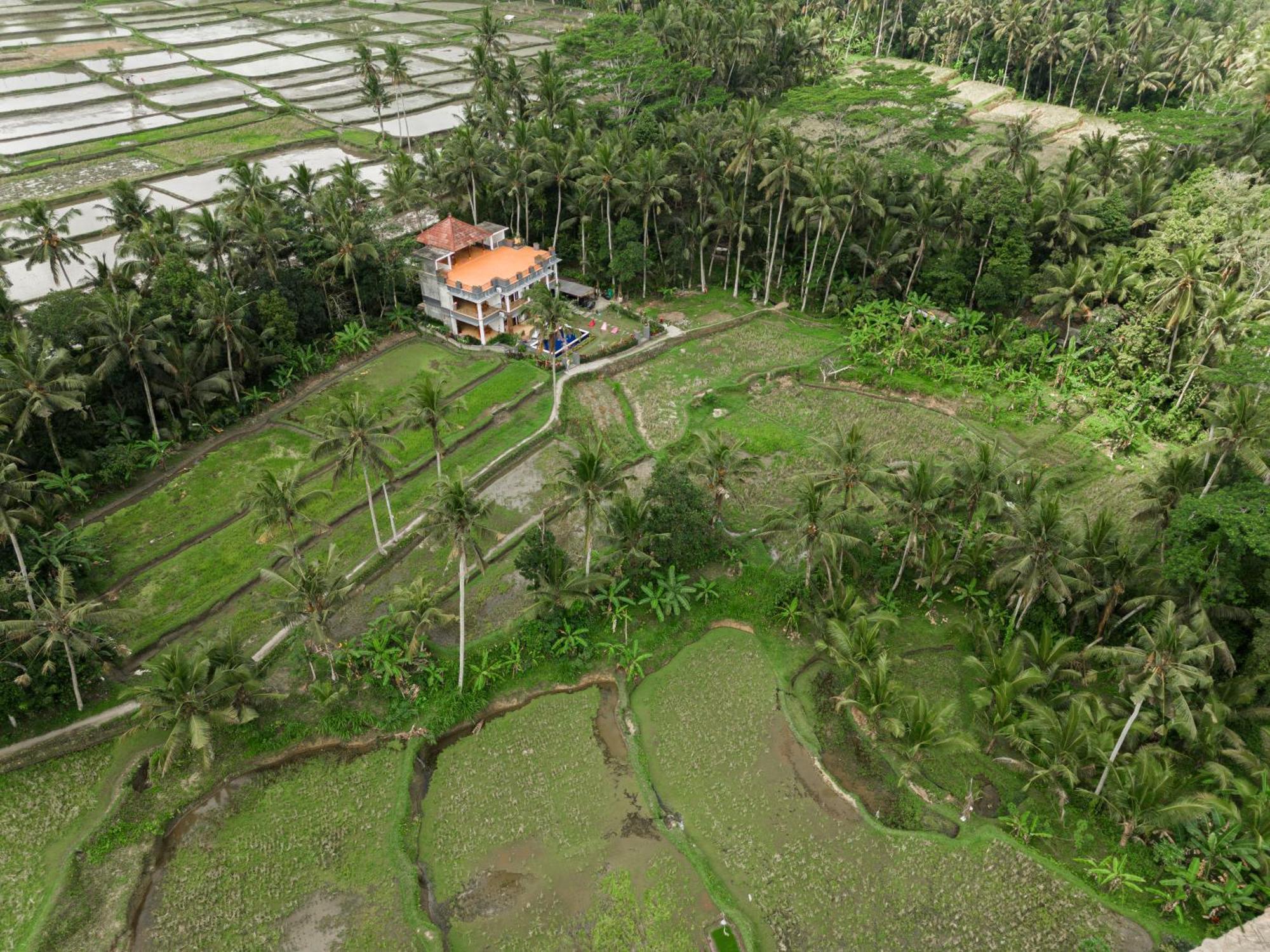Adhidrawa Ubud Ngoại thất bức ảnh